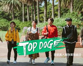 小猪视频《TOP DOG》免费在线观看