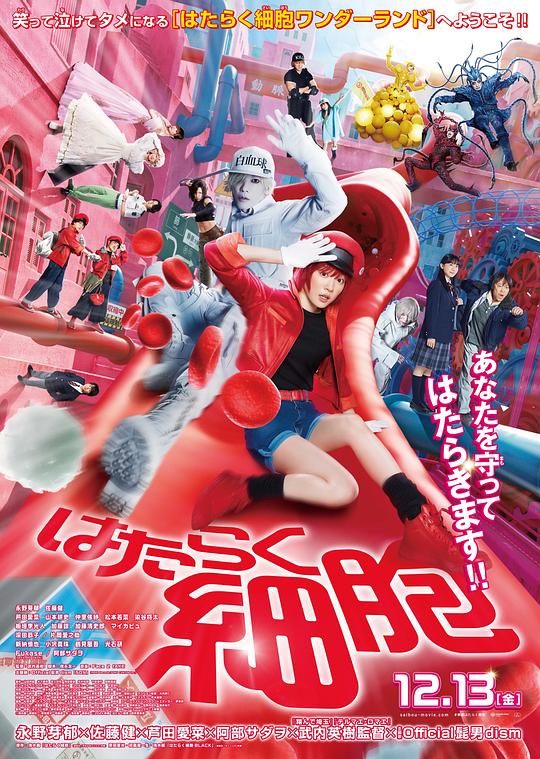 小欧视频《工作细胞 真人版 はたらく細胞》免费在线观看