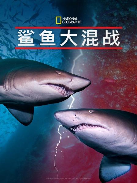 小猪视频《鲨鱼大混战》免费在线观看