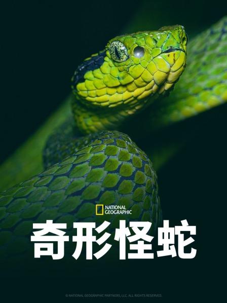 小草影院《奇形怪蛇》免费在线观看